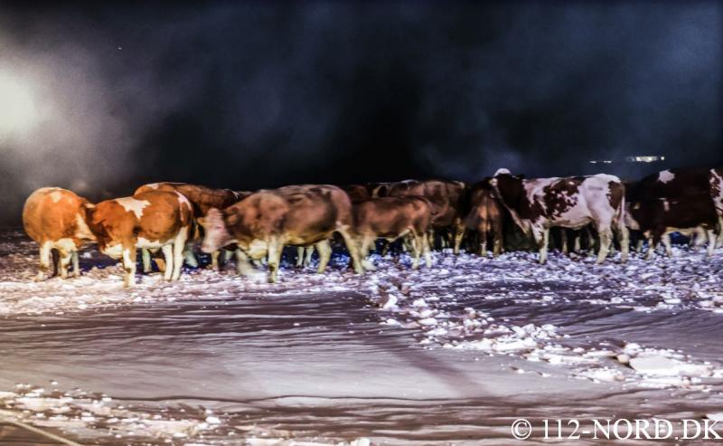 1001202604112norddk_t2.jpg