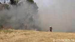 Luk album op 1004202514mini.jpg