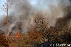 Luk album op 14072025mini.jpg