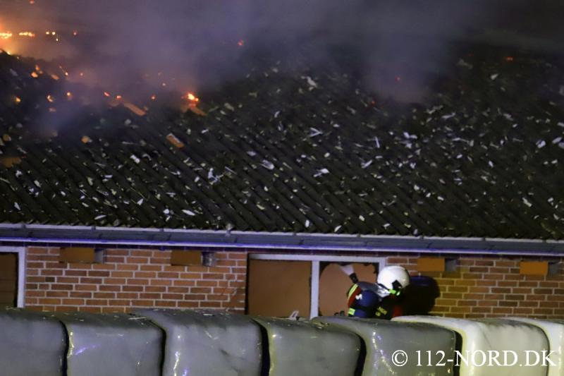 14122023a05_t2.jpg