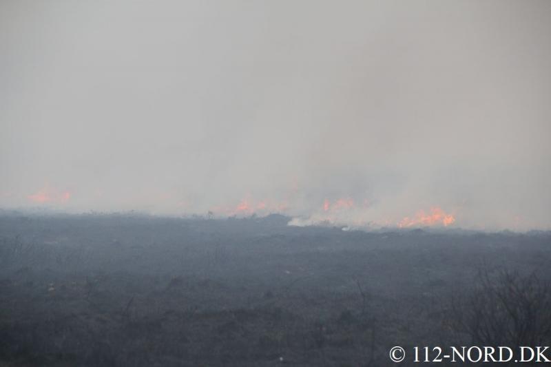 112-nord 2103201802_t2.jpg