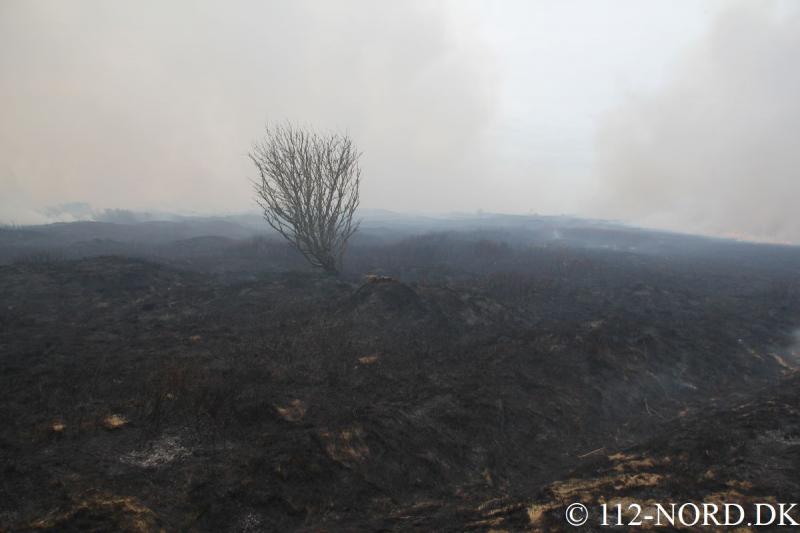112-nord 2103201803_t2.jpg