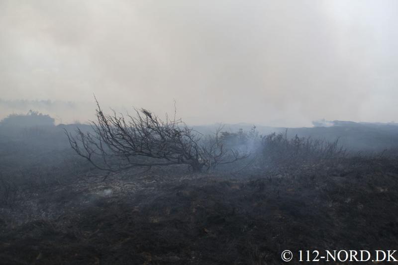 112-nord 2103201811_t2.jpg