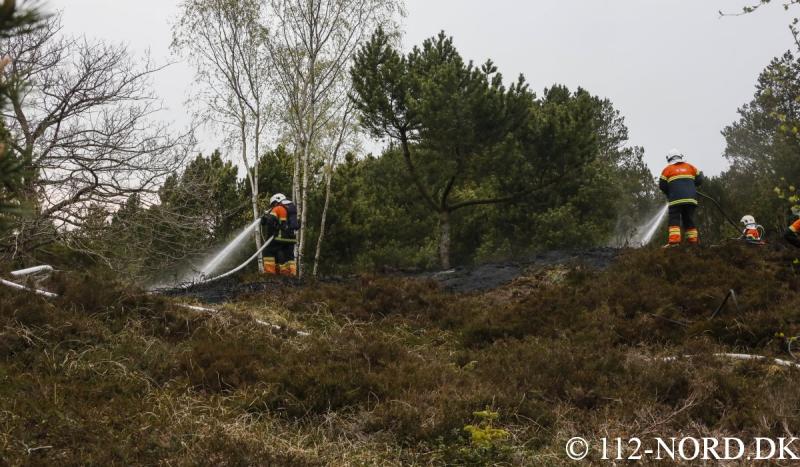 112-nord 2404201903_t2.jpg