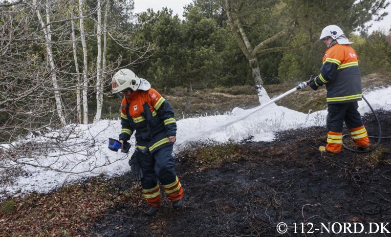 112-nord 2404201913_t2.jpg