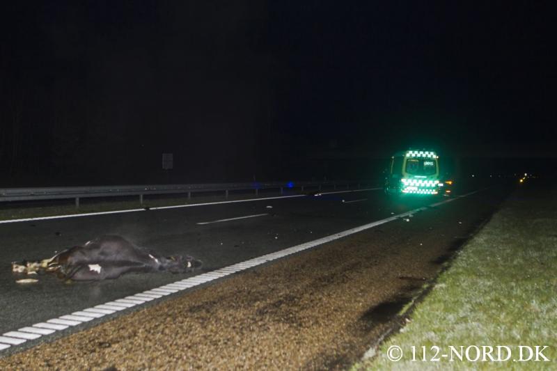 112-nord 04052019b02_t2.jpg