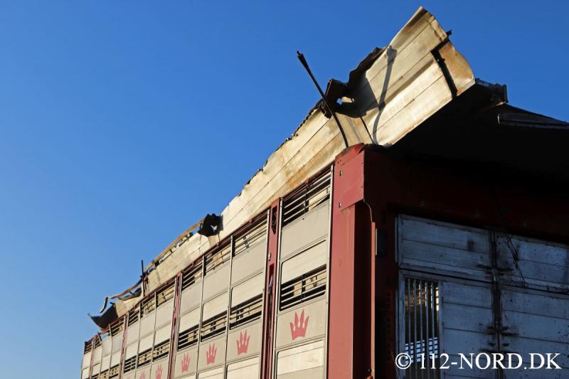 2703202011_t2.jpg